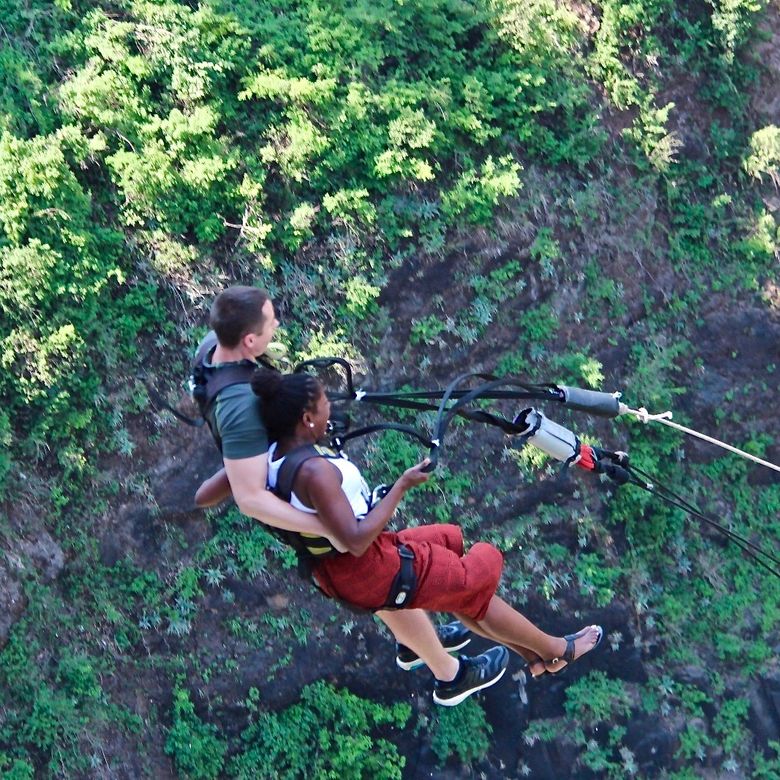 Bridge Swing